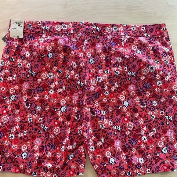 Terra & Sky Shorts Size 3X (24W-26W) (DU) - Picture 8 of 8